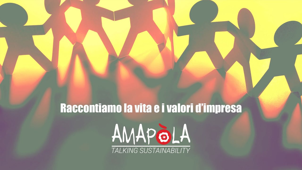 Amapola